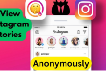 Instagram Story Viewer IgAnony